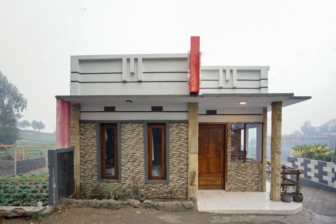 Oyo 2120 Pieter Homestay Bromo Probolinggo Esterno foto